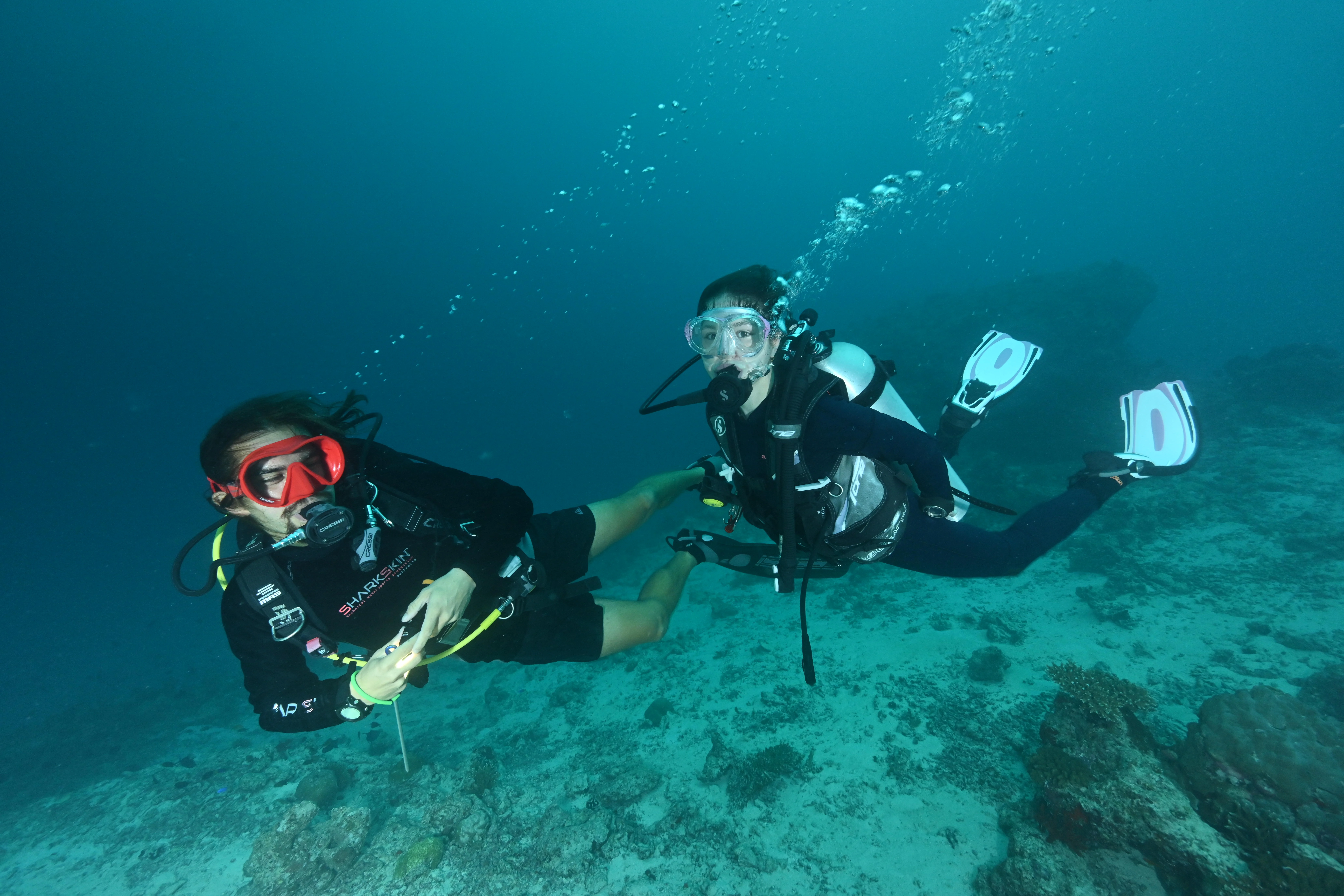 Open Water Diver Course