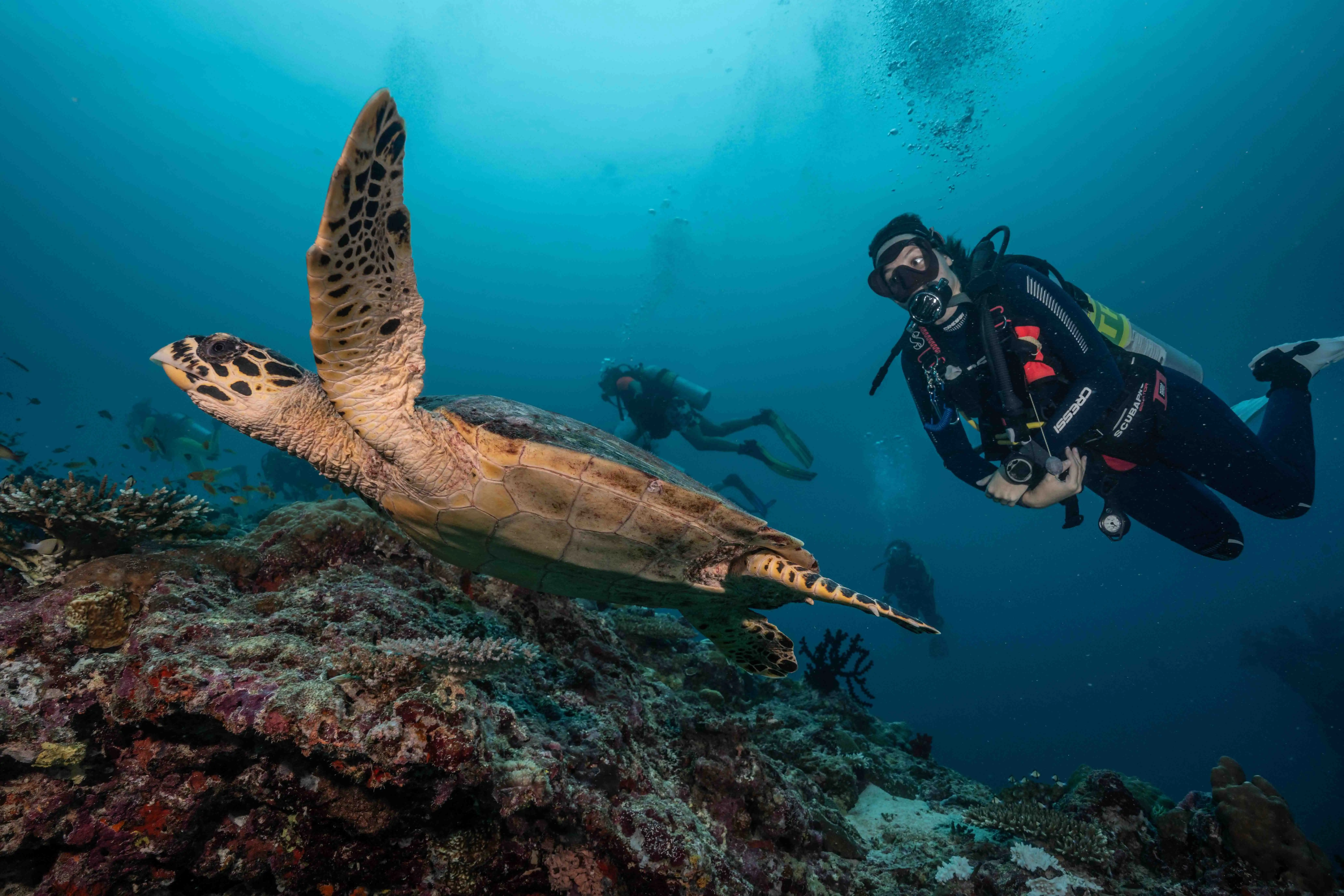 Try Dive from beach