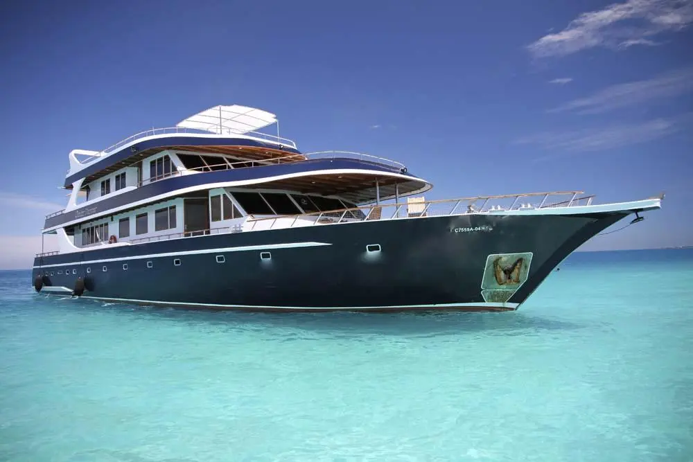 ocean-divine-maldives-liveaboard-diving
