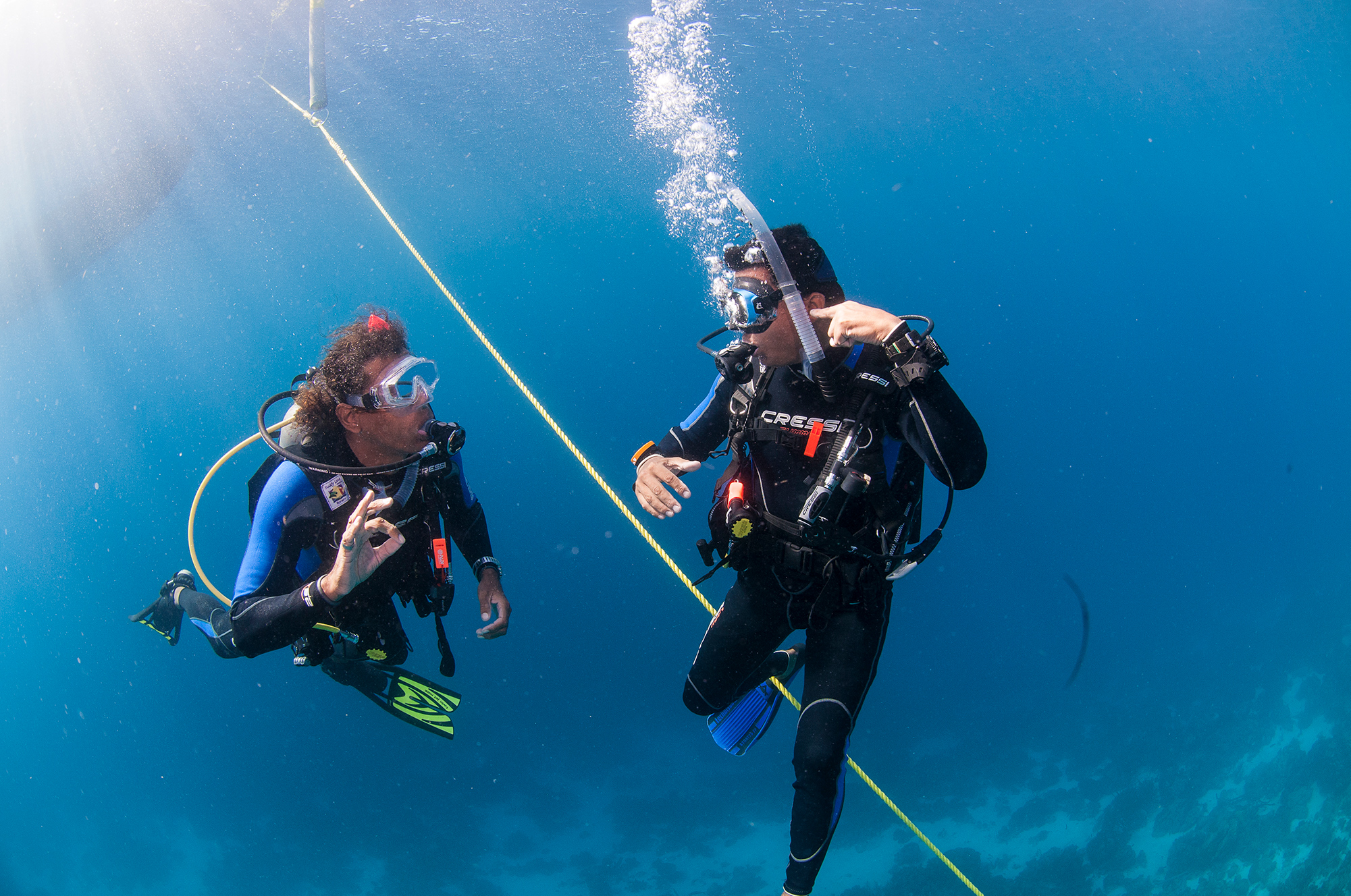 curso-divemaster-basico-buceo-marina