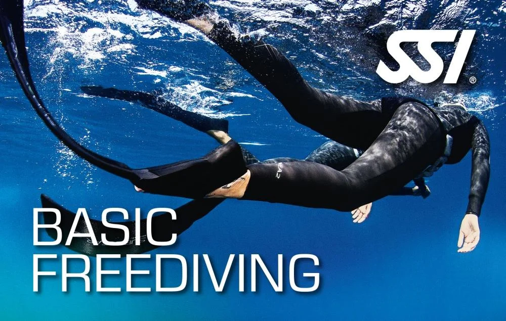 basic-free-diving-la-tribu-dive