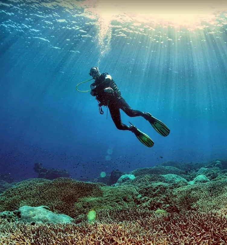7 nights y 14 dives - Seaview Garden Cottage