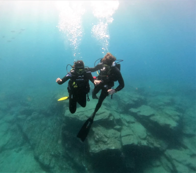 Try Dive