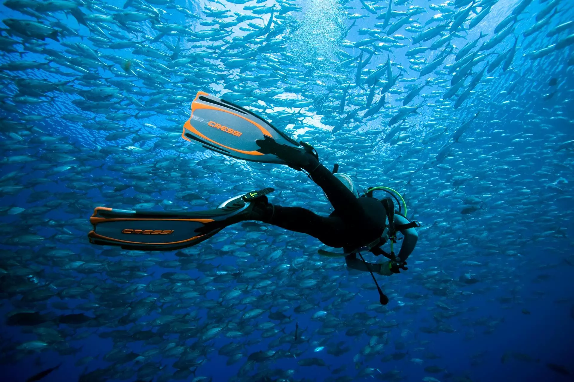 Open Water Diver + 4 nights (full board)