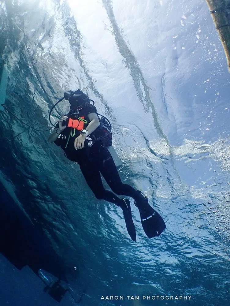 Fun Dive with Own Equipment