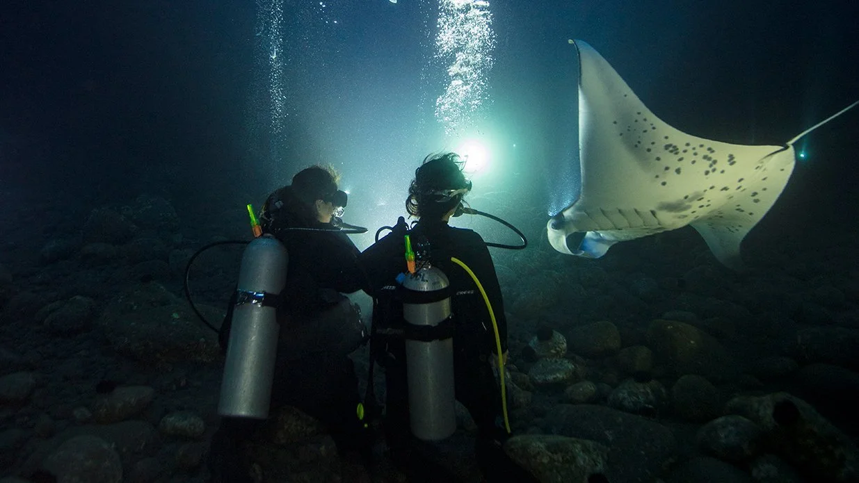 albatros-diving-mallorca