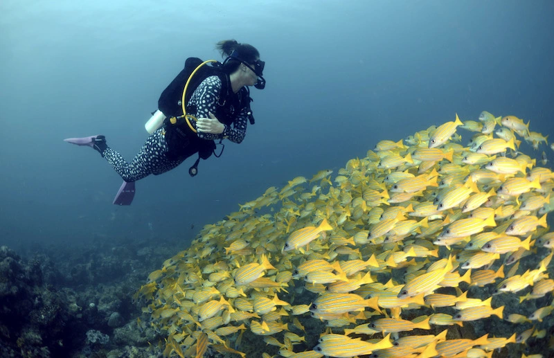 ReActivate PADI Course