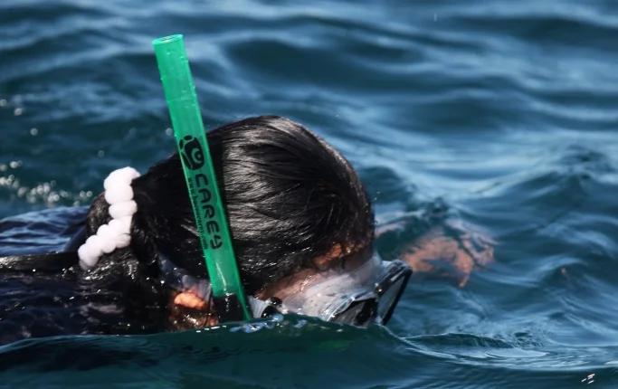 Snorkeling