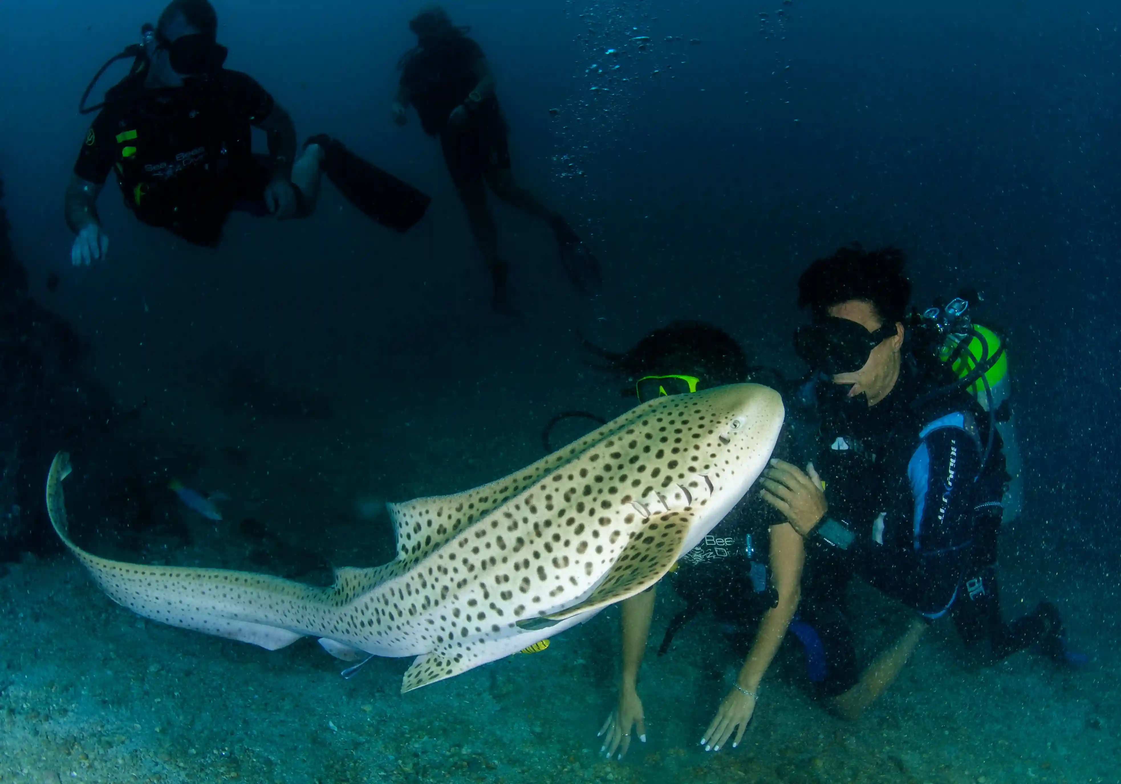Tailandia