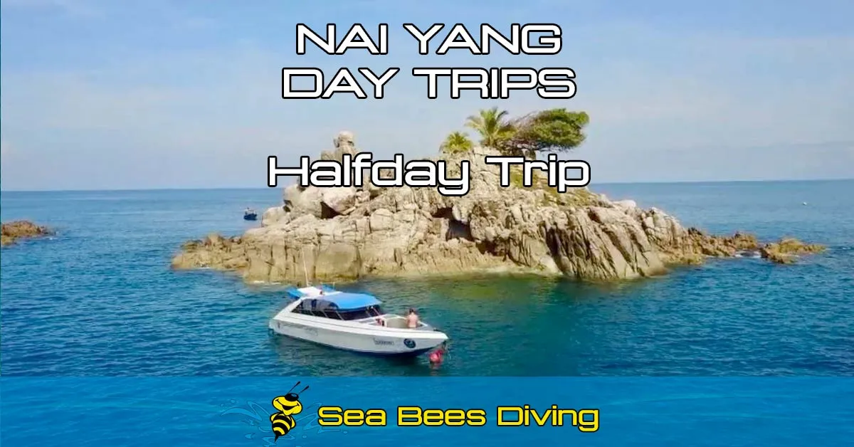 Nai Yang Halfday Trip