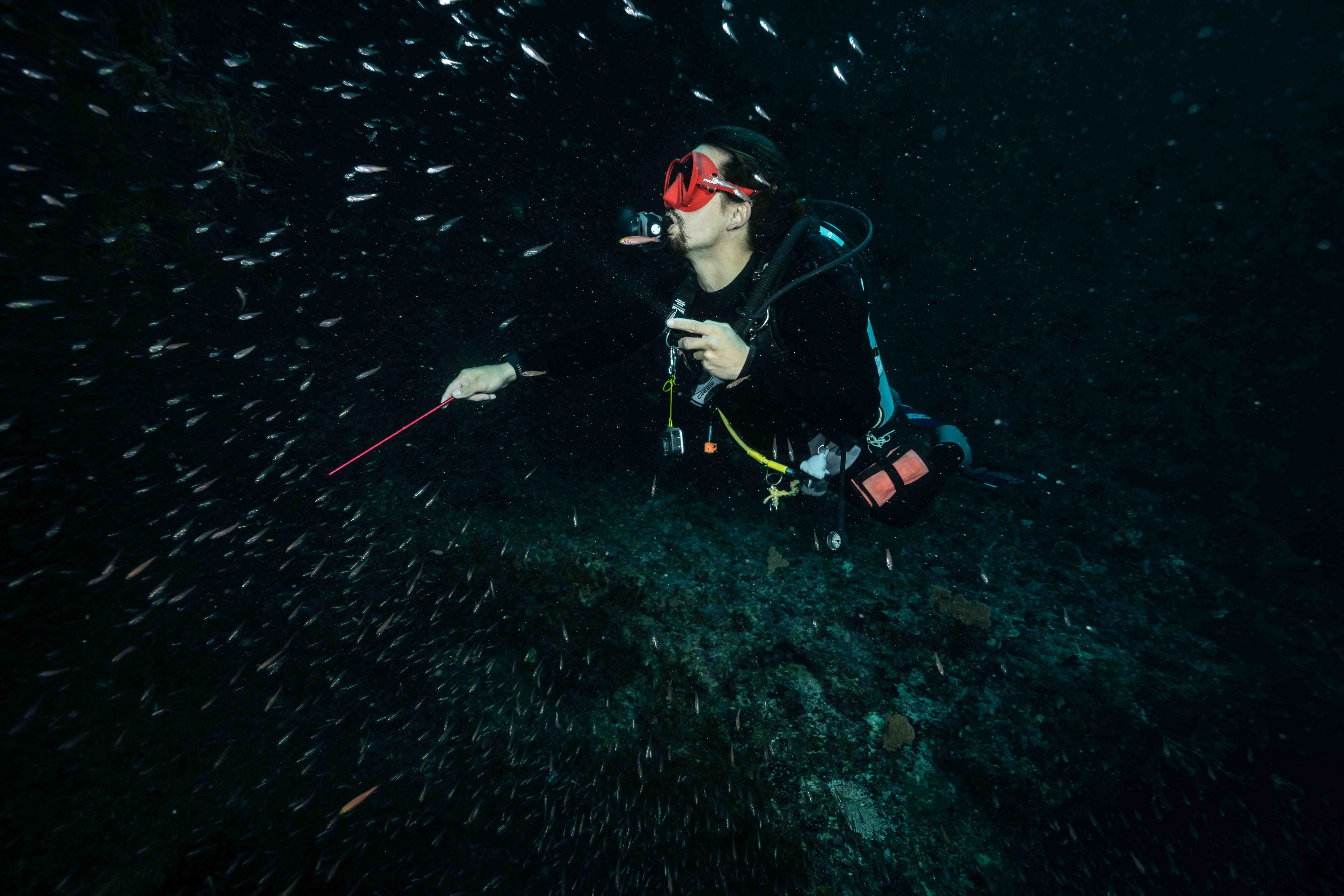 Triple Fun Dive in Cozumel