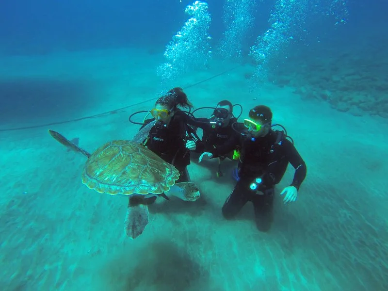 fun-dive-haliotis-madeira-equipment-included