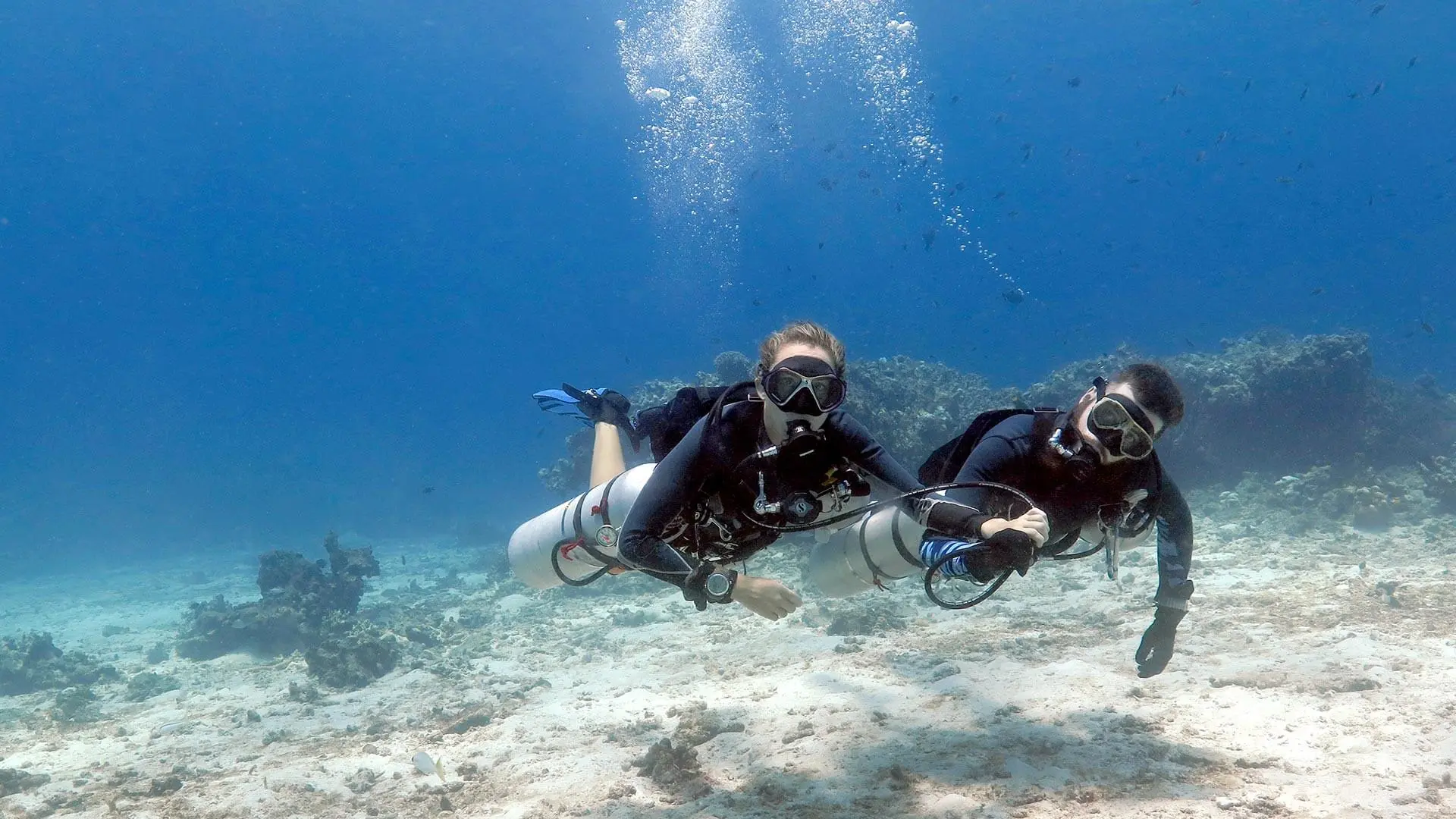 double-dive-equipment-included-octopus-scuba-mallorca