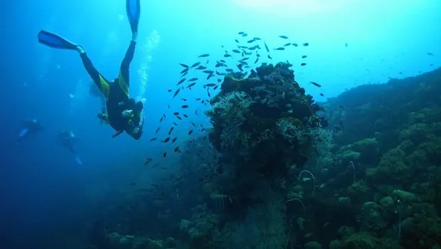 Summer pack 7 nights 10 dives in Maafushi