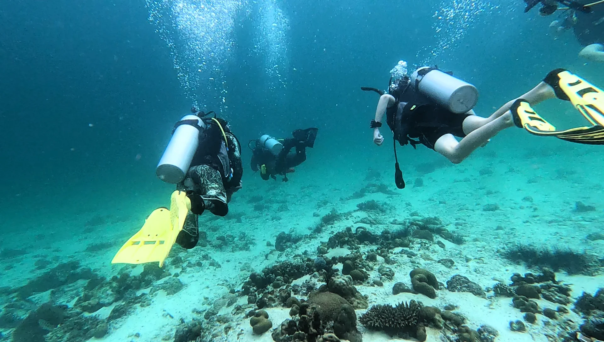 Divemaster Course