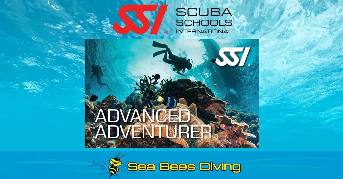 Advanced Adventurer Course – Nai Yang