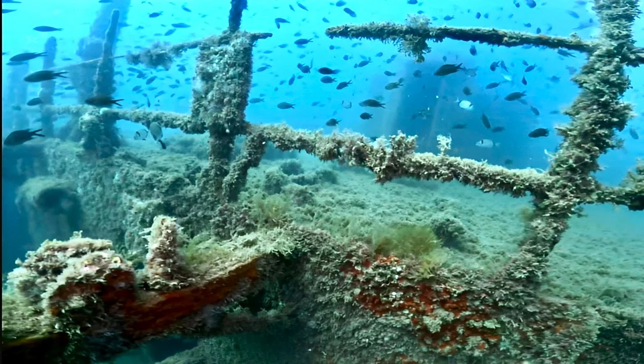 wreck-diver-specialty-course-all-blue-diving-cambrils