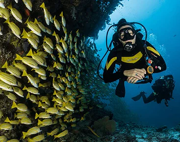 Fun Dive with equipment at Petro Divers Mallorca