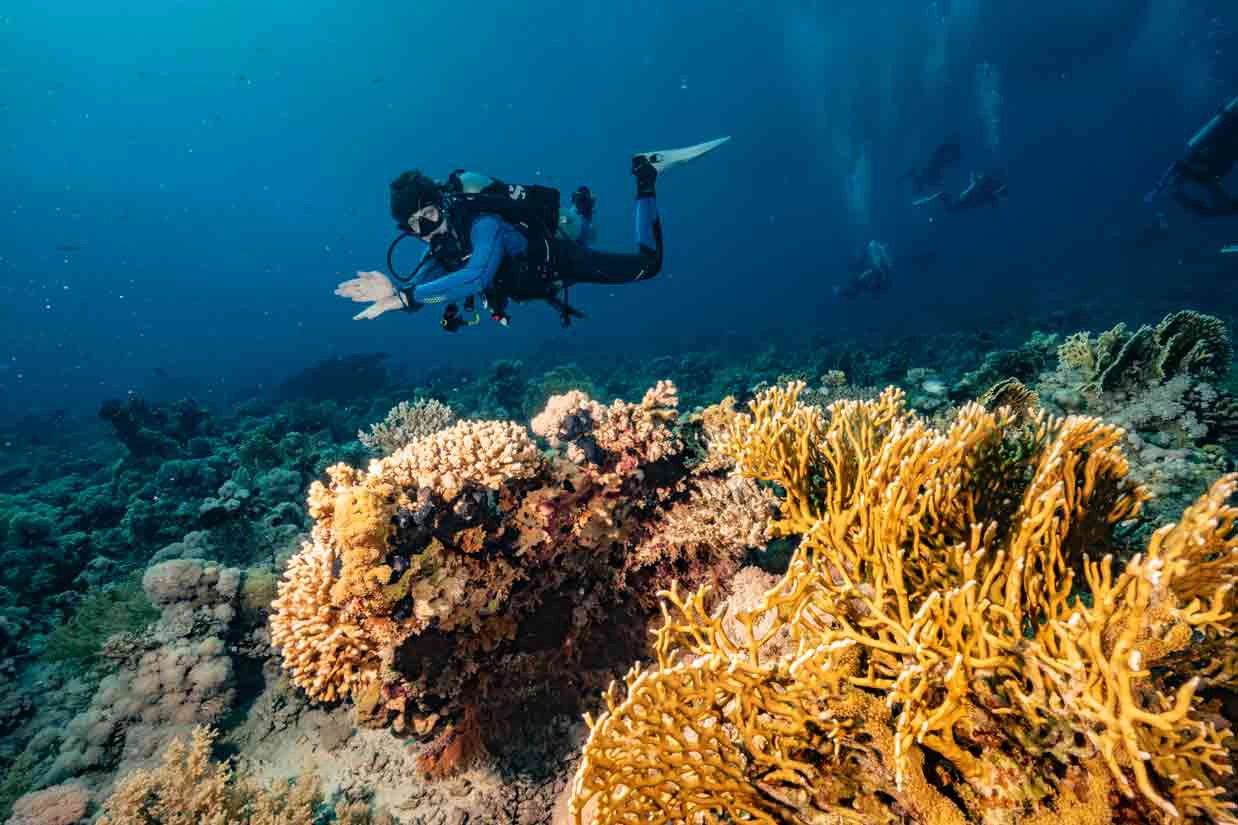 Double Dive at the reefs with Dive 48