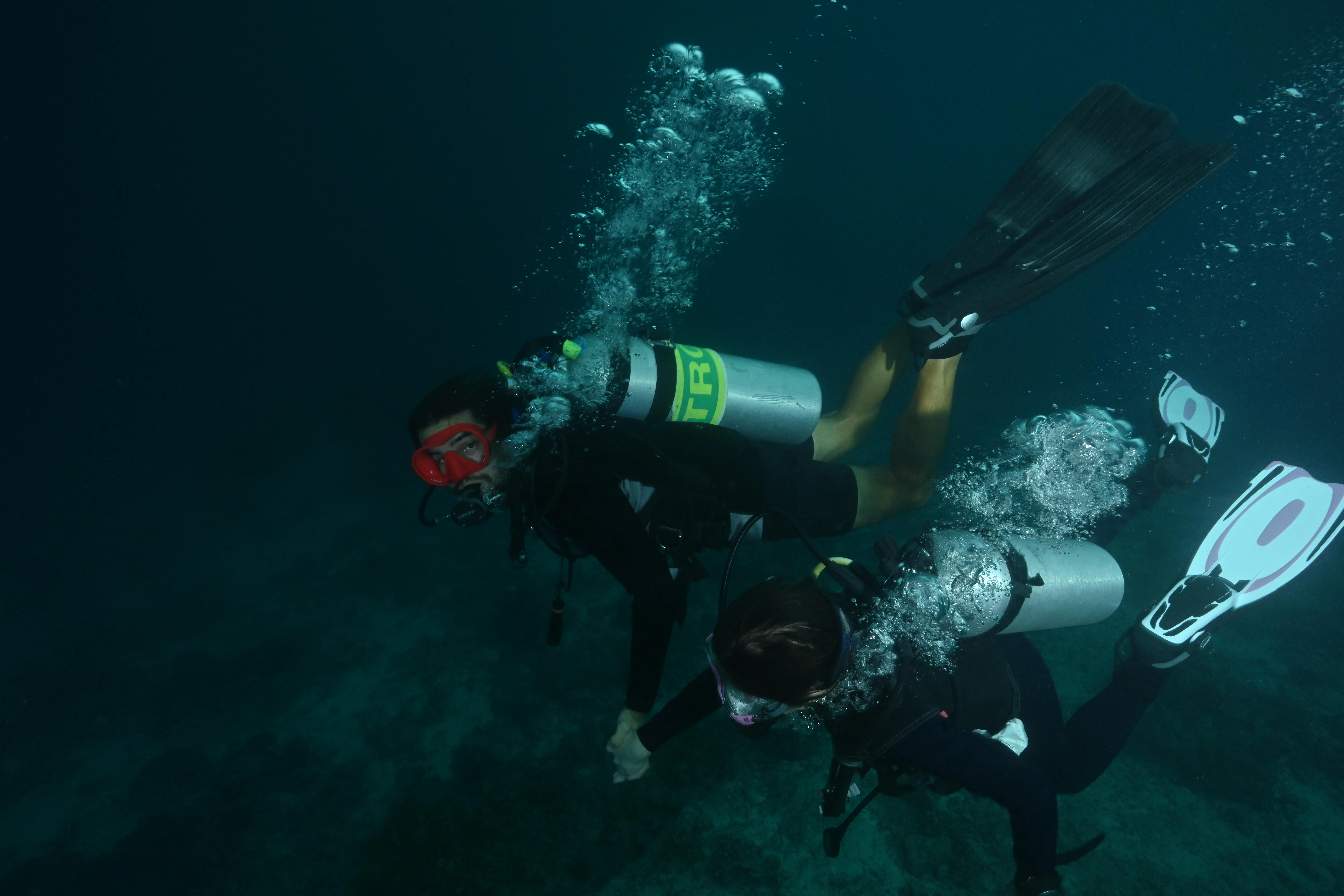 Try Dive