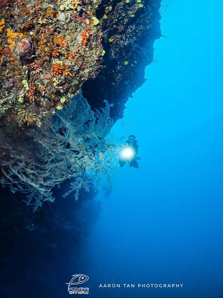 Discover Scuba Diving in Boracay