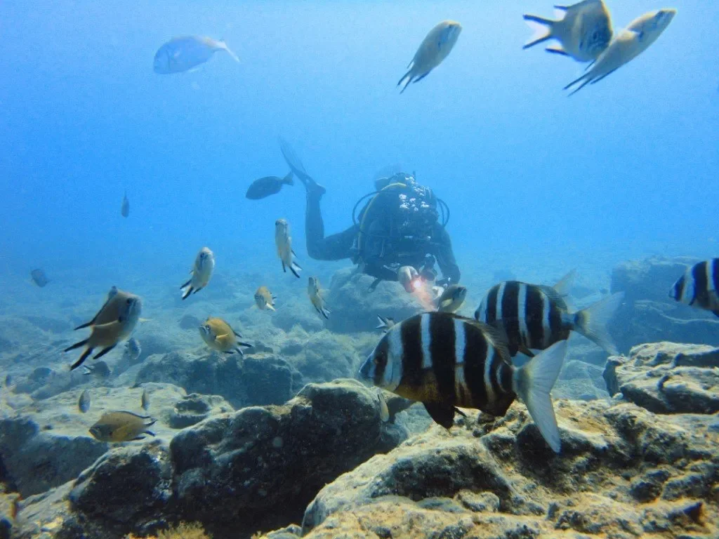 Fun Dive at Fuerteventura Diving