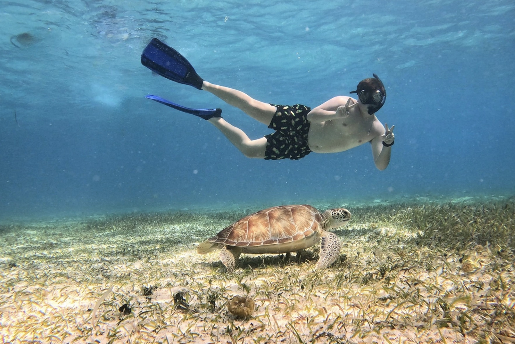 Private Snorkelling Tour - Cielo/Cielito