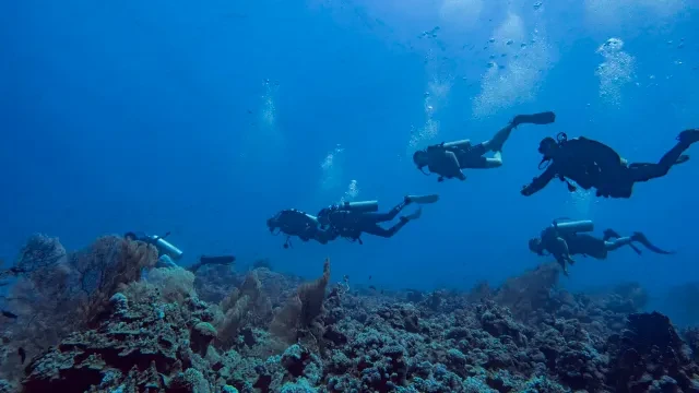 Activity