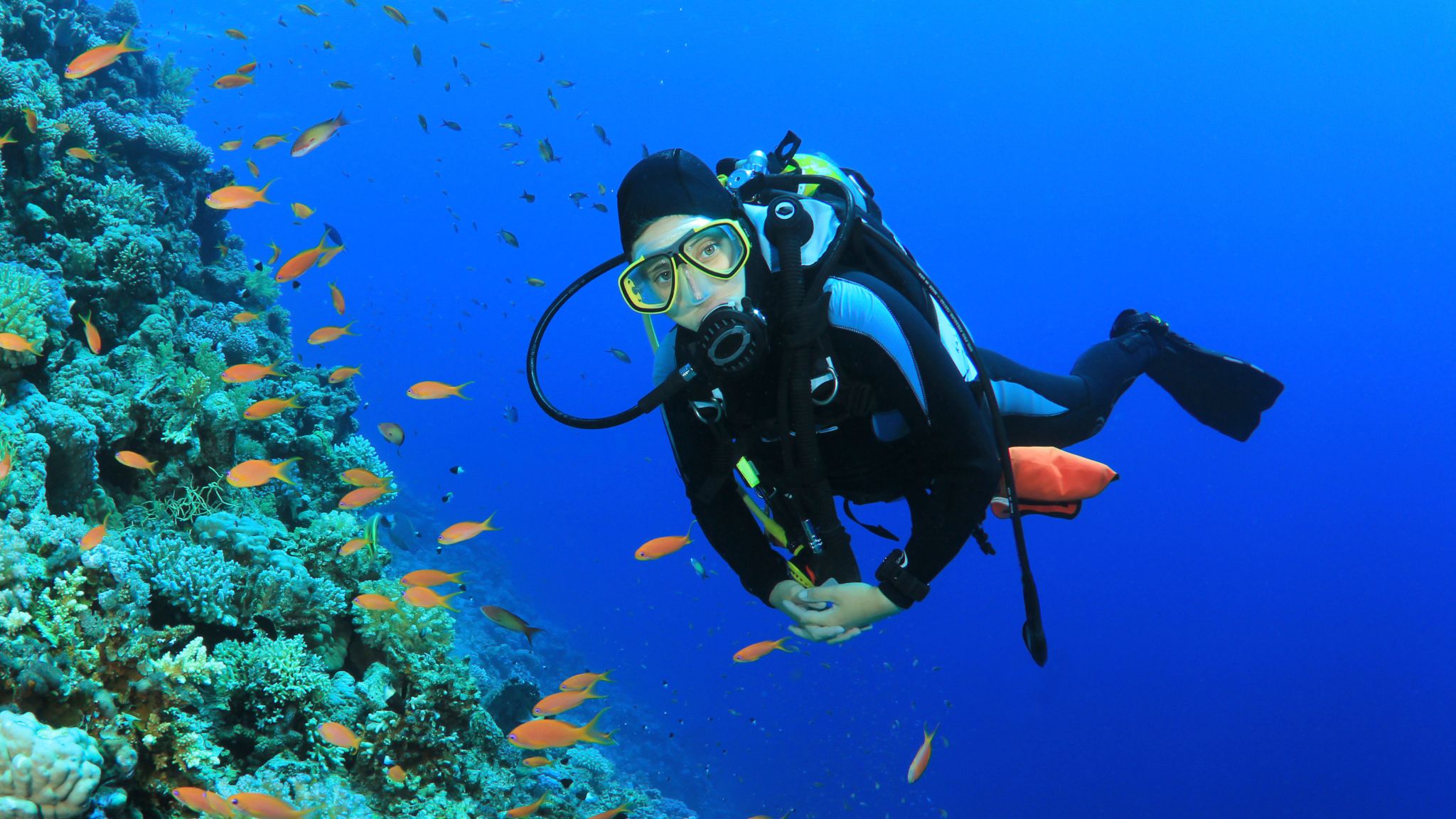 Basic Diver Course SSI