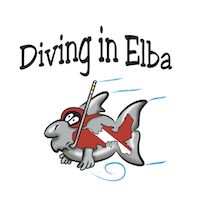 diving-in-elba-portoferraio