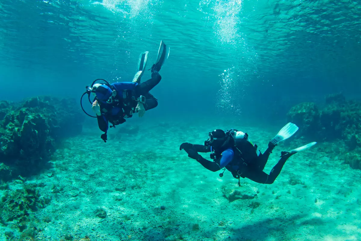 Fun Dive at Haliotis Sesimbra with your own Equipment