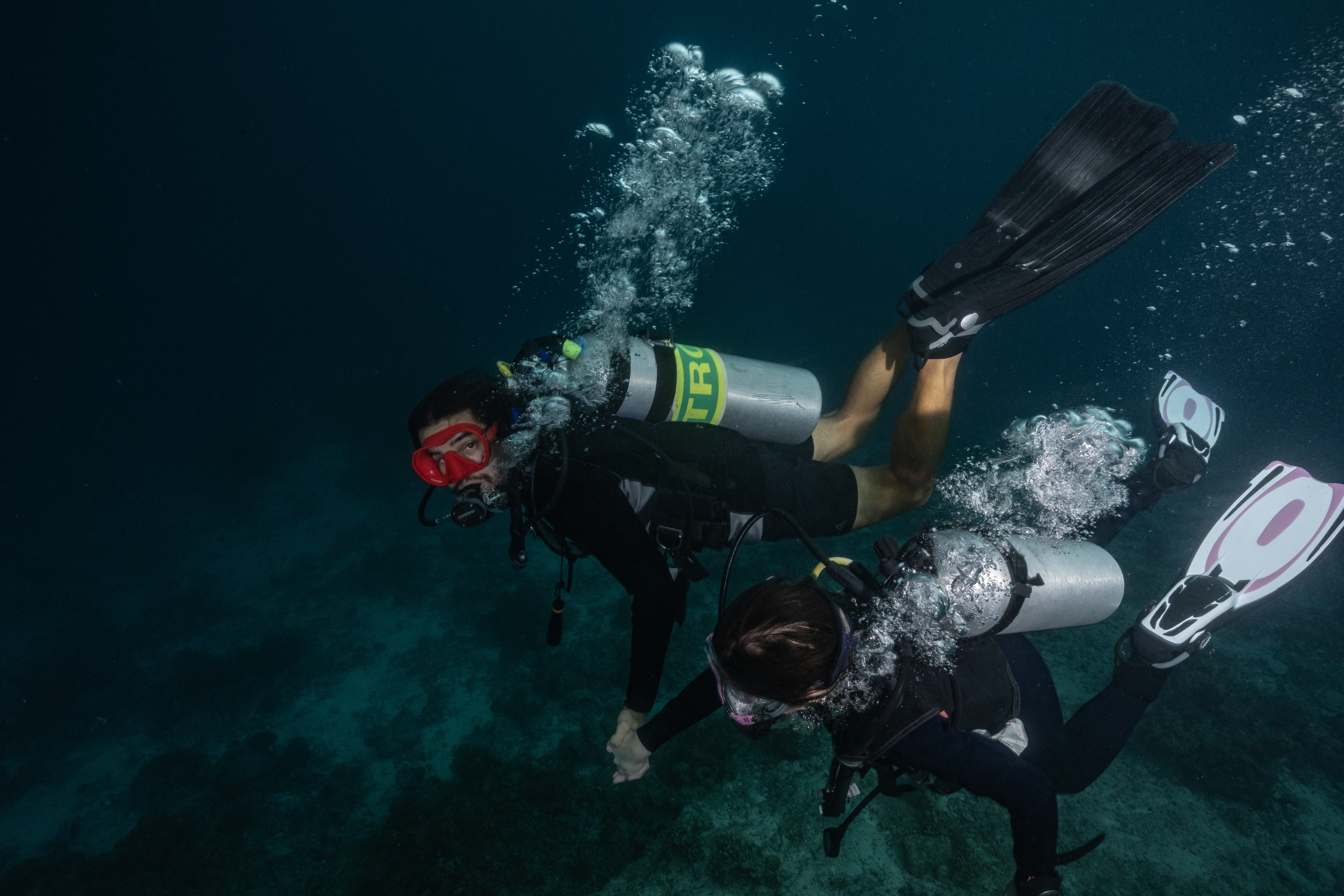 Try Dive
