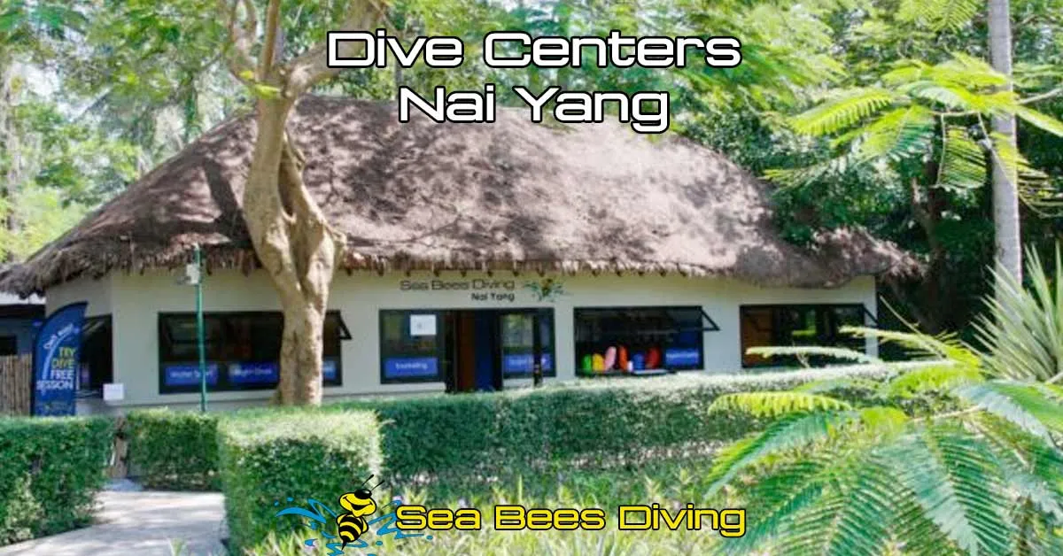 Diving Center