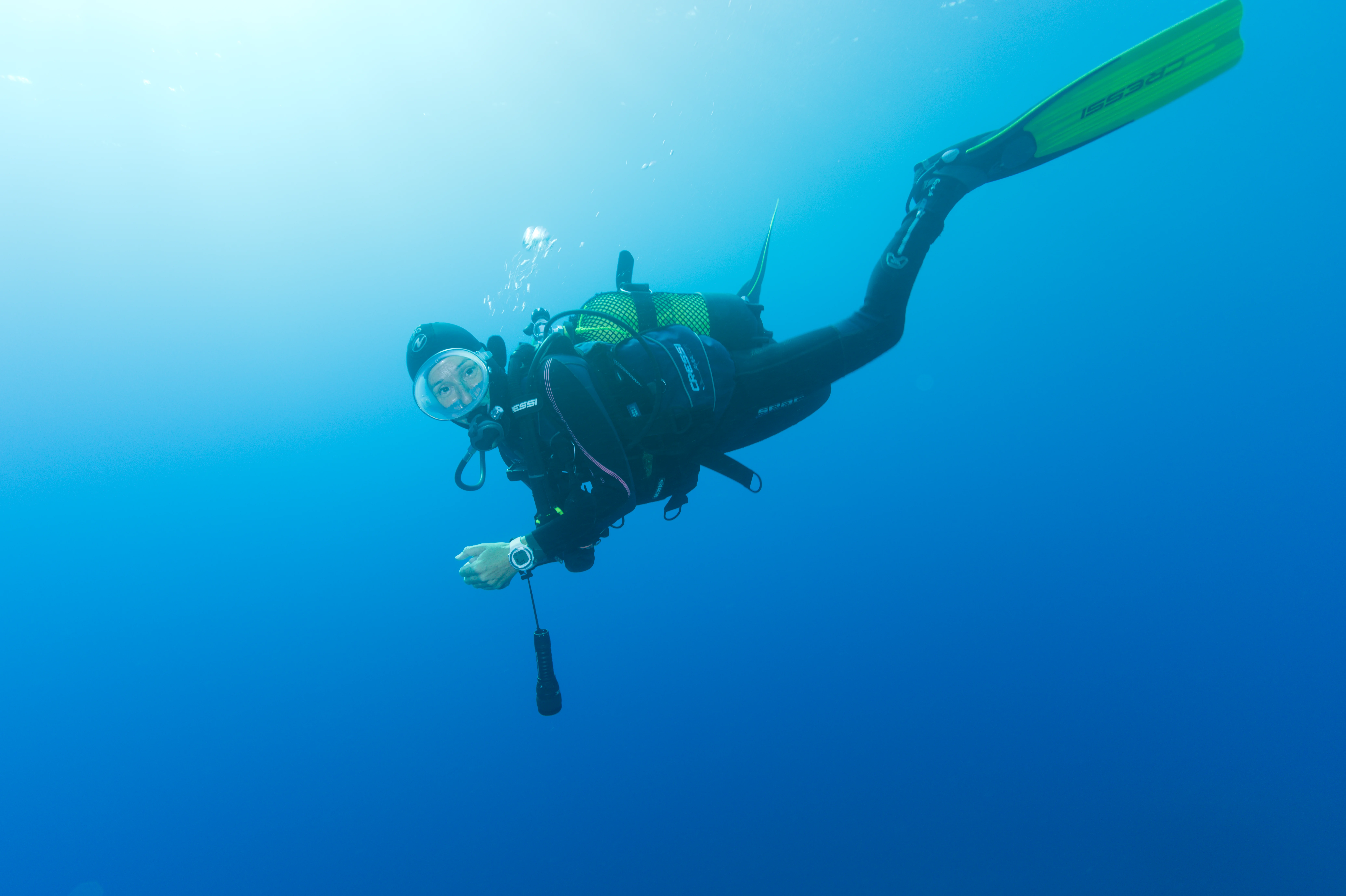 Open Water Diver Course