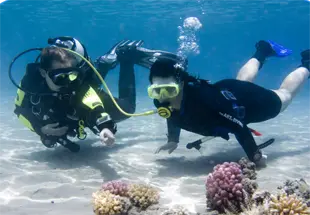 Try-Dive from the boat