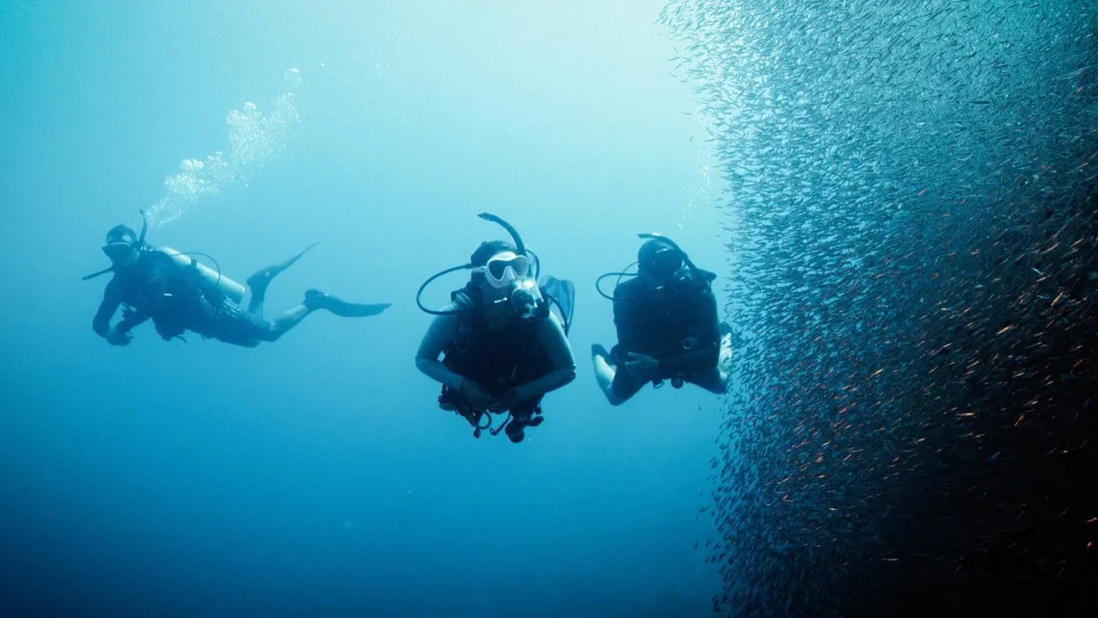 deep-diver-specialty-buceo-aguadulce-almeria