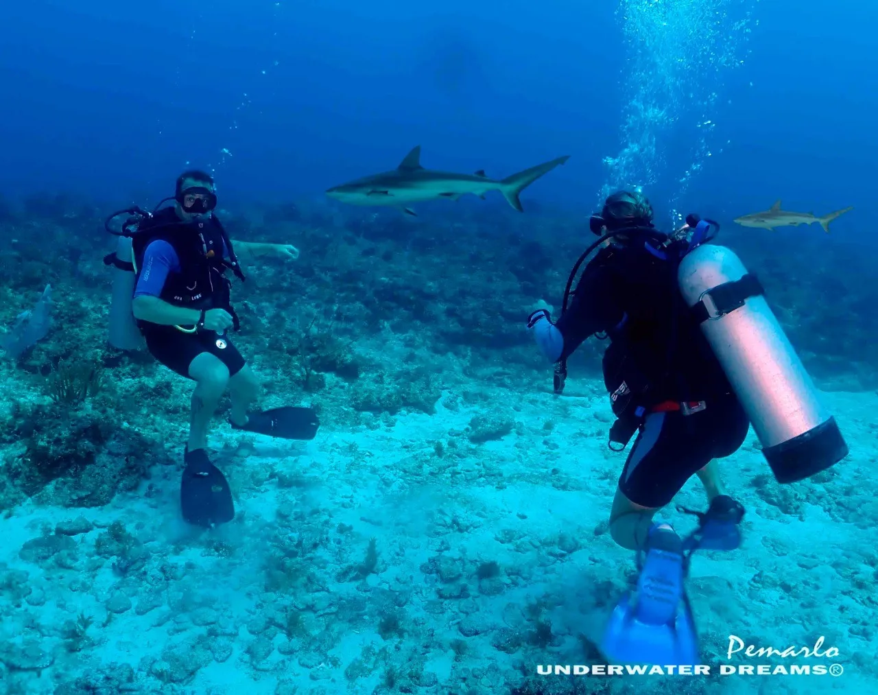Deep dive + wreck (Bávaro)