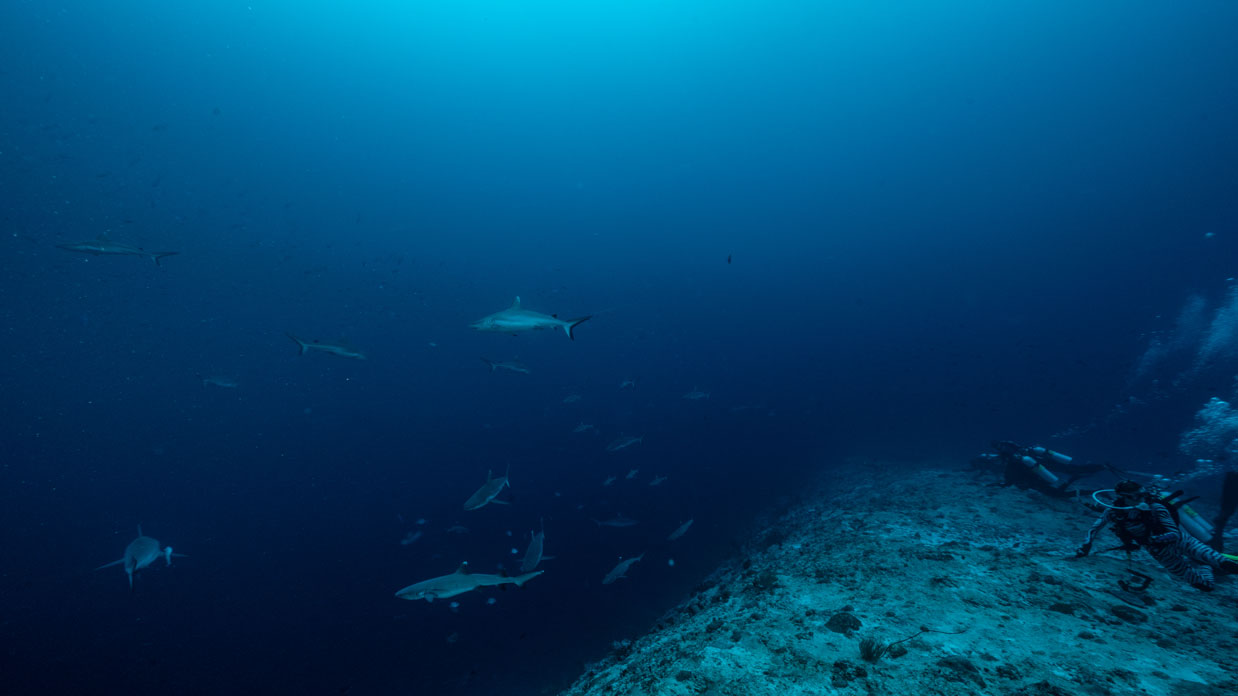 Vilingili Kandu