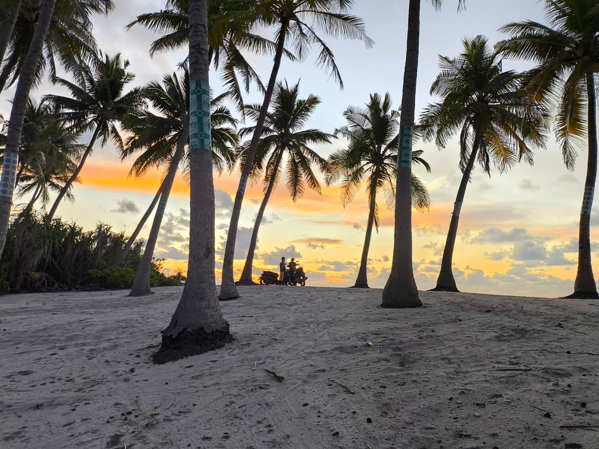 Disfruta de la puesta de sol
