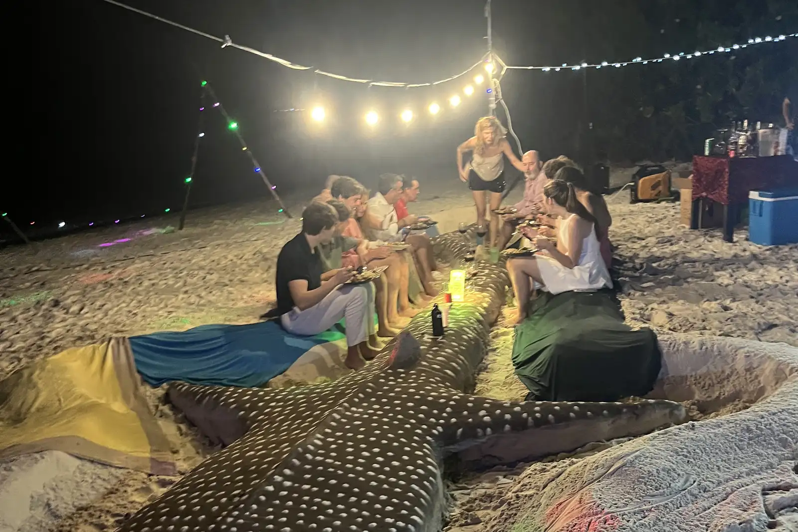 Visita a isla local y BBQ