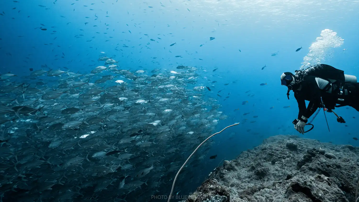 Blue Corner