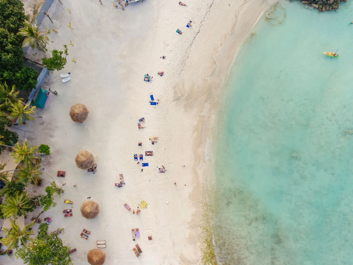 Disfruta de la playa