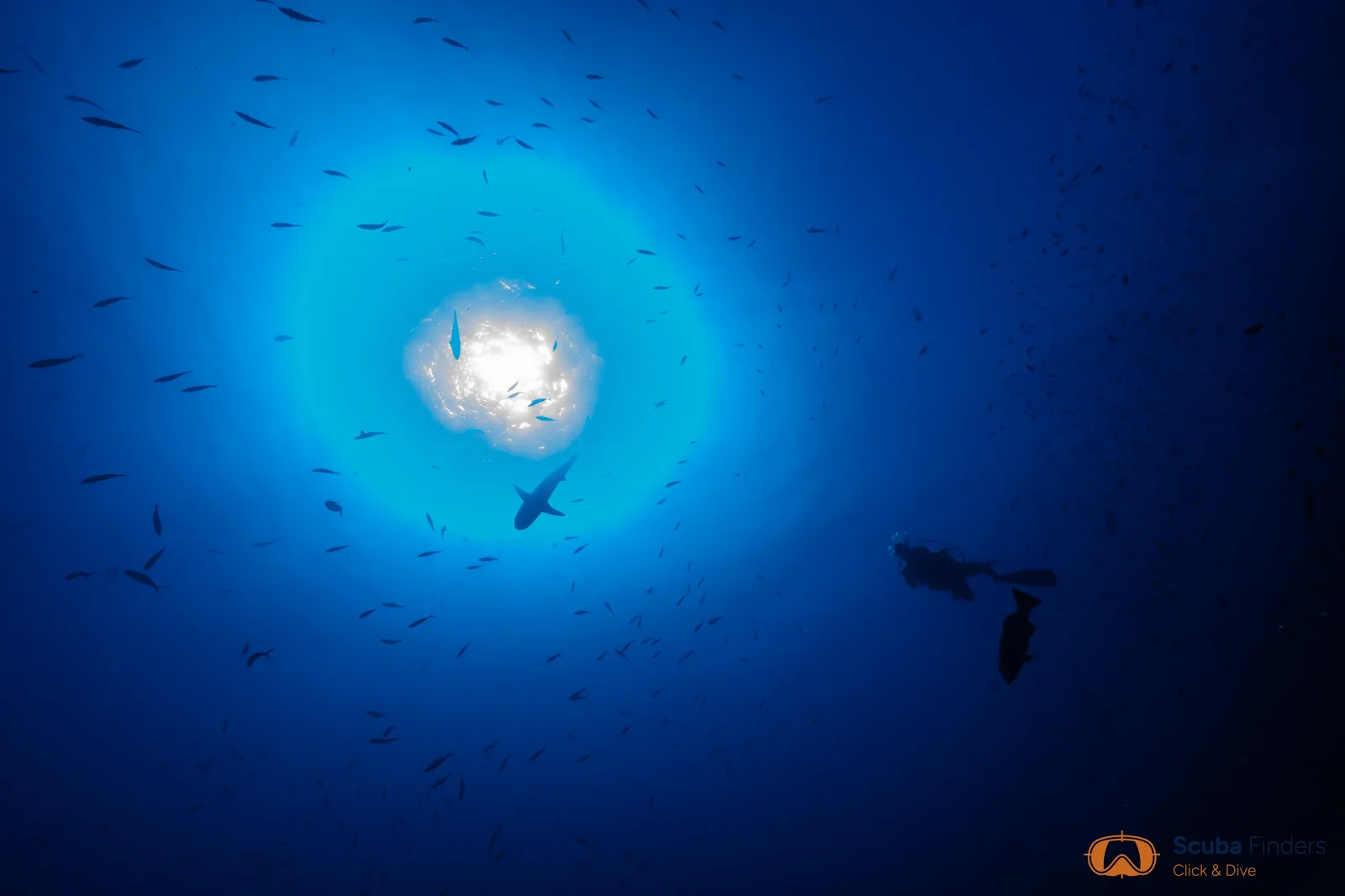 Canales de Huvadhoo