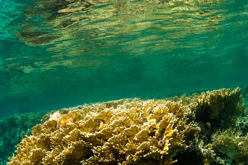 Zabargad, la isla del olivino