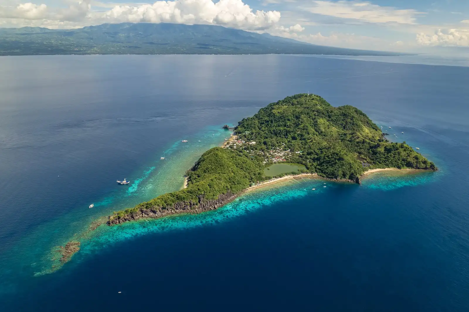 Apo Island