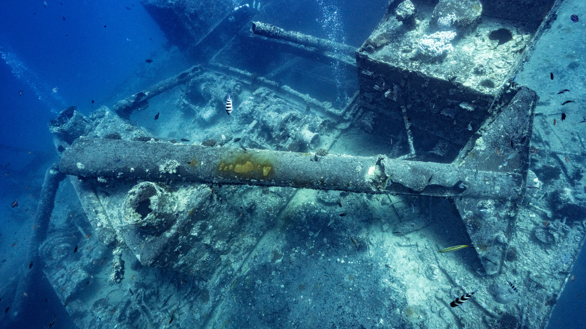 SS Thistlegorm