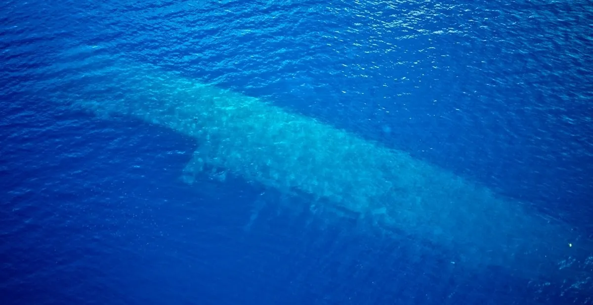 La capital mundial del buceo en pecios