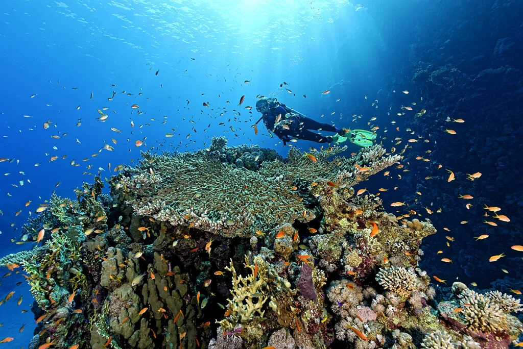 Parque Nacional Ras Muhammad