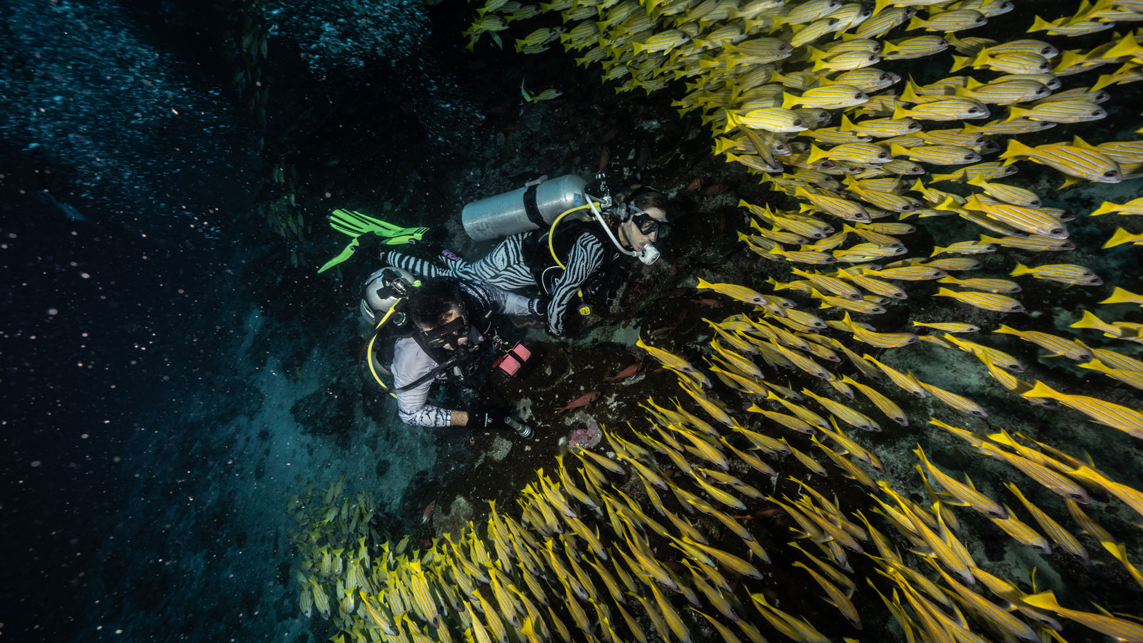 Banana reef
