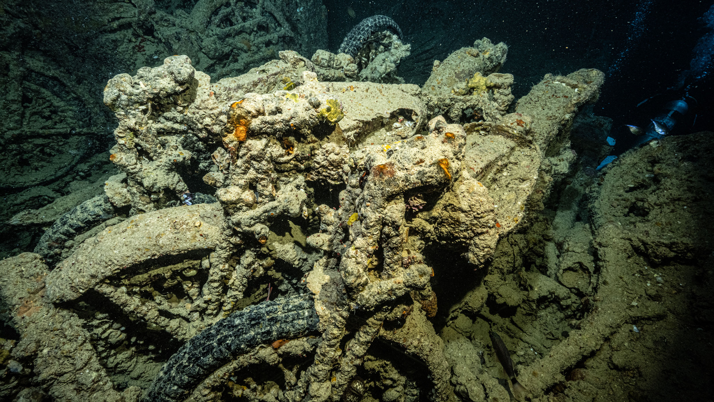 SS Thistlegorm